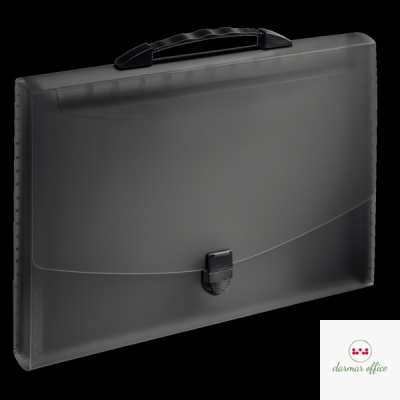 Teczka z przegródkami i rączką czarna ESSELTE VIVIDA 624024