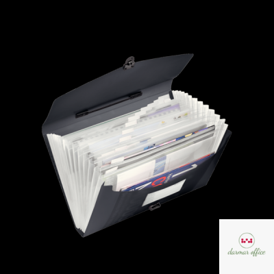 Teczka z przegródkami i rączką czarna ESSELTE VIVIDA 624024