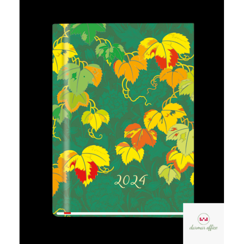 Terminarz OLA A6 2024 Michalczyk i Prokop T-212F-07