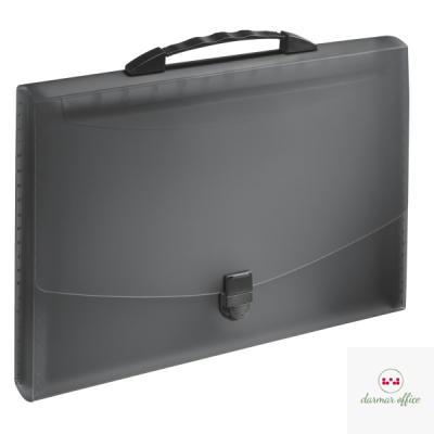 Teczka z przegródkami i rączką czarna ESSELTE VIVIDA 624024