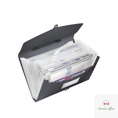 Teczka z przegródkami i rączką czarna ESSELTE VIVIDA 624024